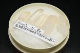 超レア品!国産水晶(日本水晶)　岩手県陸前高田市竹駒町玉山鉱山産 ケース入り